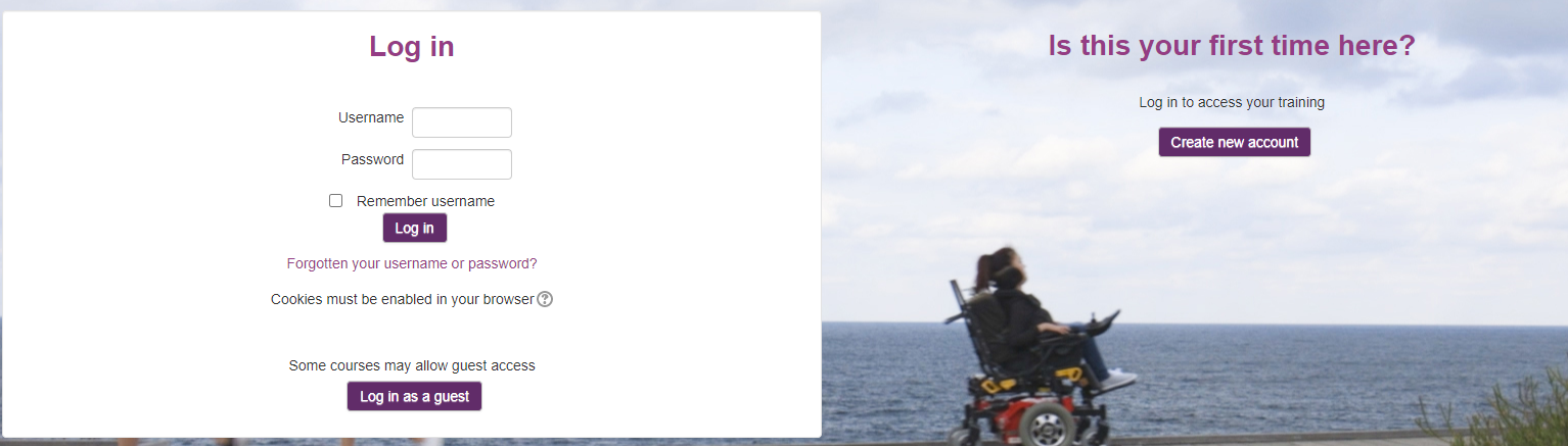 Log In Screen